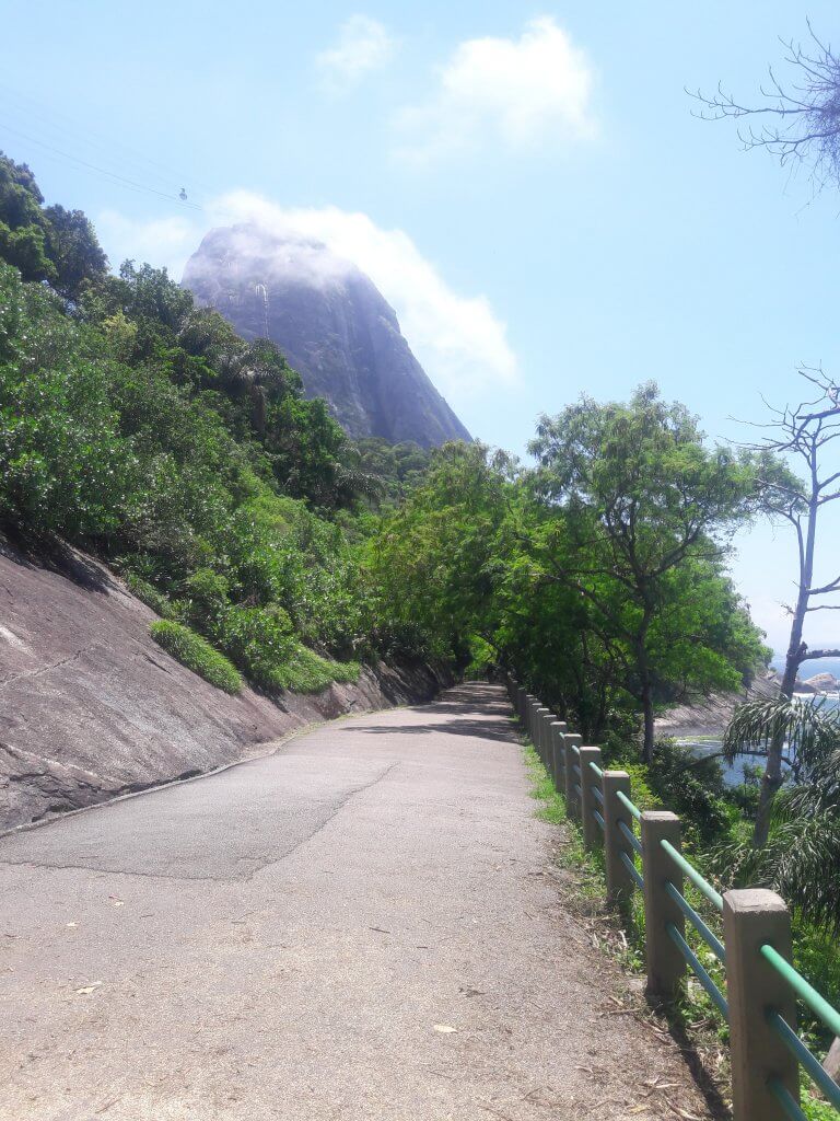 Aves e Árvores: Visita à Pista Claudio Coutinho no Morro da Urca (RJ):  paraíso do Tiê-Sangue e outras aves