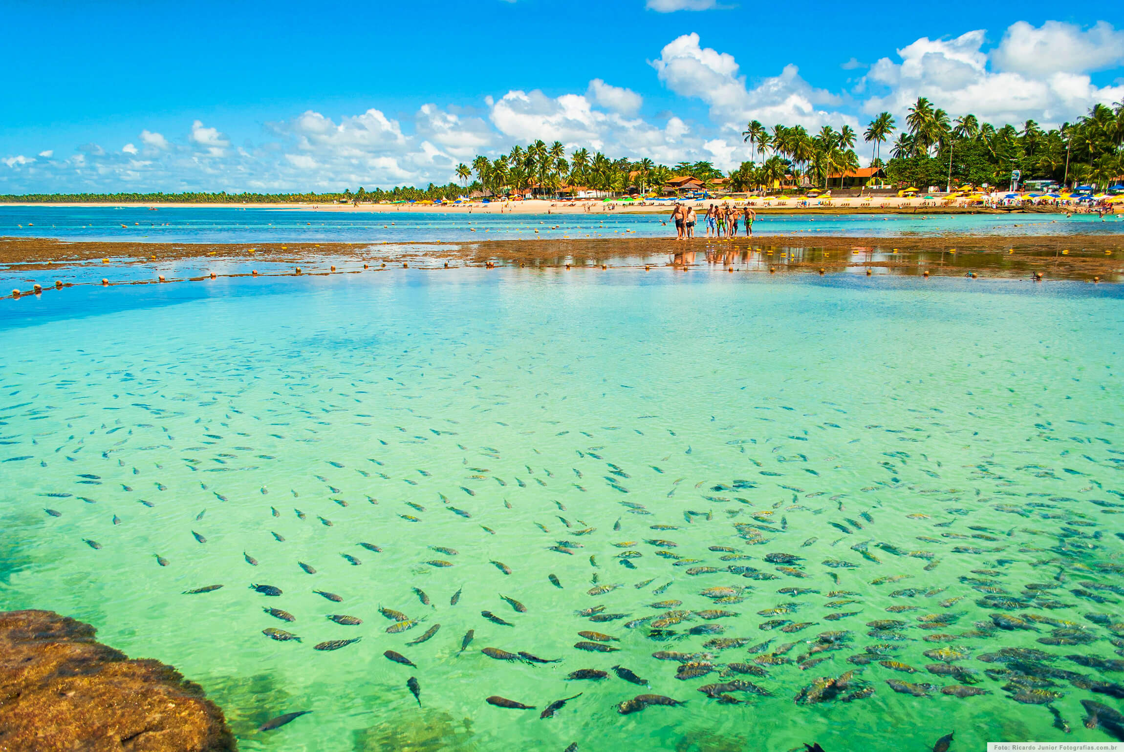 De São Paulo a Pernambuco: piscinas de ondas para se refrescar longe do mar